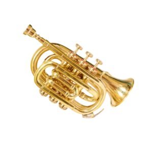 Gold Pocket Trumpet