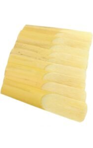 WhatsApp Image 2023-09-19 at 2.40.18 AM (1)