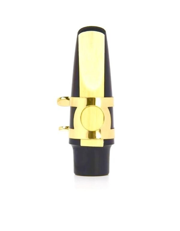 Saxophone Mouthpiece Set