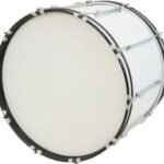 whatsapp-image-2025-10-19-at-6-07-51-am1