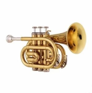 Rmze Professional Gold Pocket Trumpet – Musical Instruments