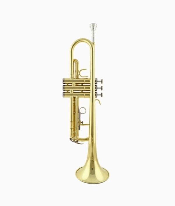 Rmze Professional Bb Brass Trumpet for Beginners & Professionals – Golden-2420 Trumpet Set – Musical Instrument