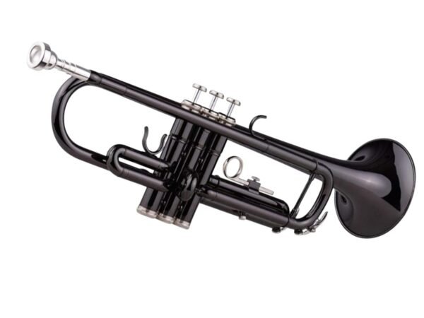 Rmze Professional Bb Brass Trumpet for Beginners & Professionals – Black-101 Trumpet Set – Musical Instrument